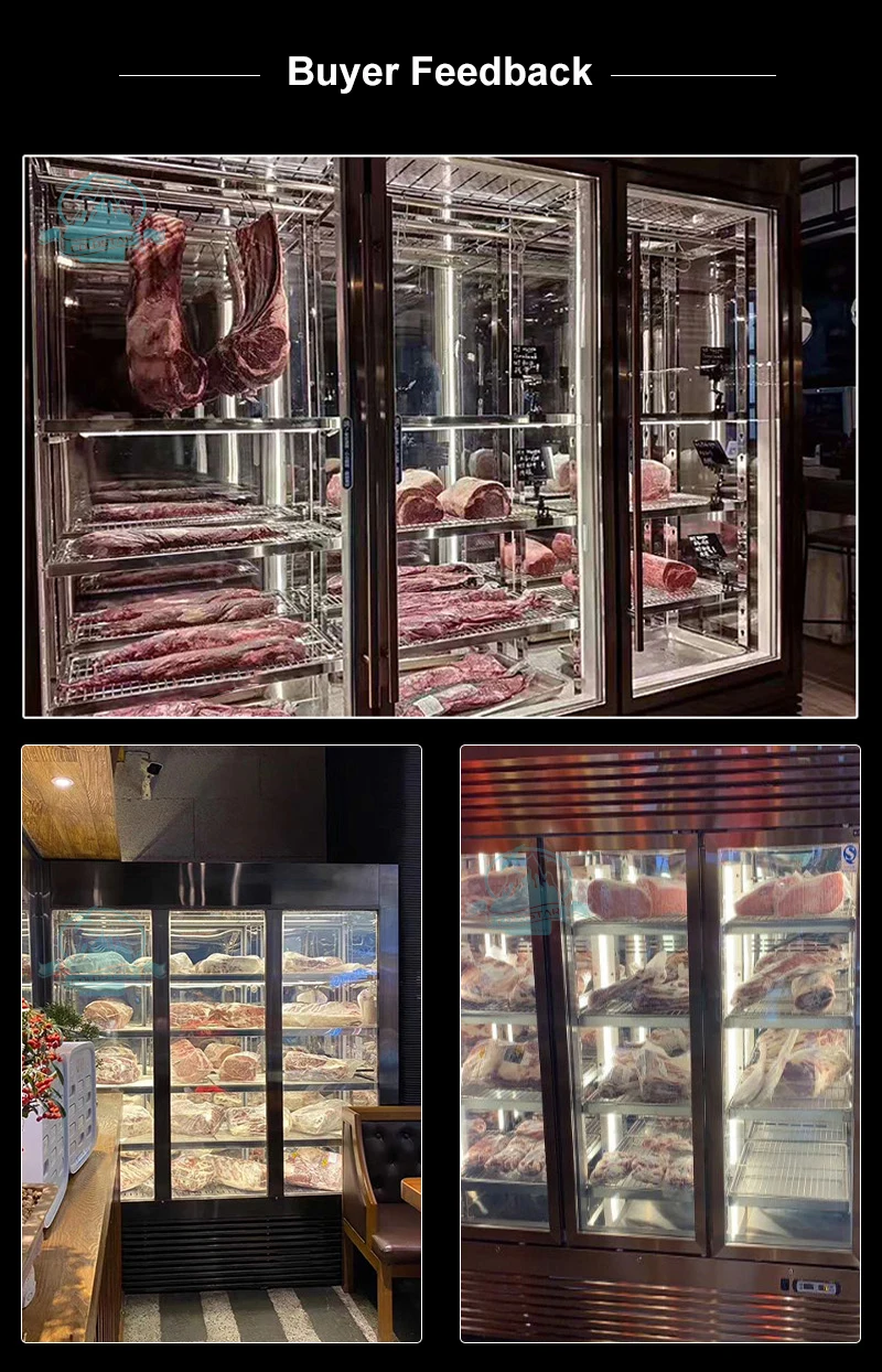 Dry Age Fridge Beef Ager Commercial Salami Aging Fridge Dry Cure Meat
