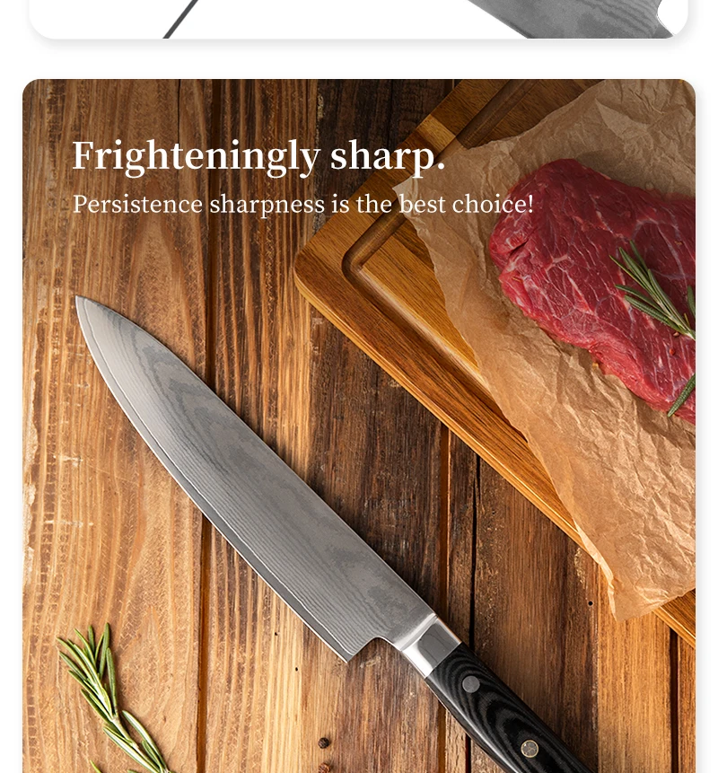 8 Inch Micarta Handle Vg10 67 Layers Damascus Steel Professional Chef Knife Chefs Kitchen Knife