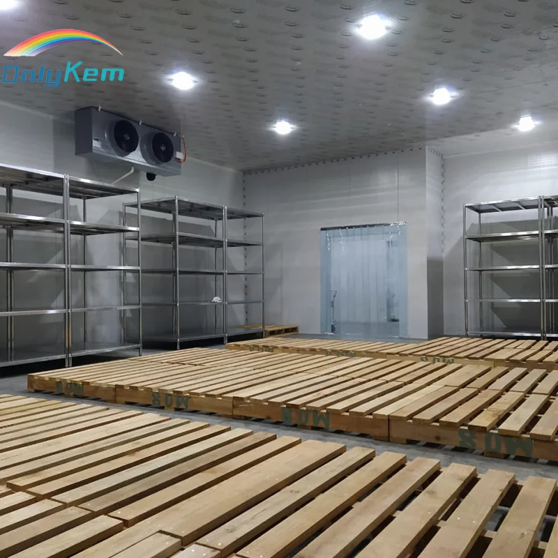 Refrigerated Cold Room Freezer, 220v, R404A - detail 10