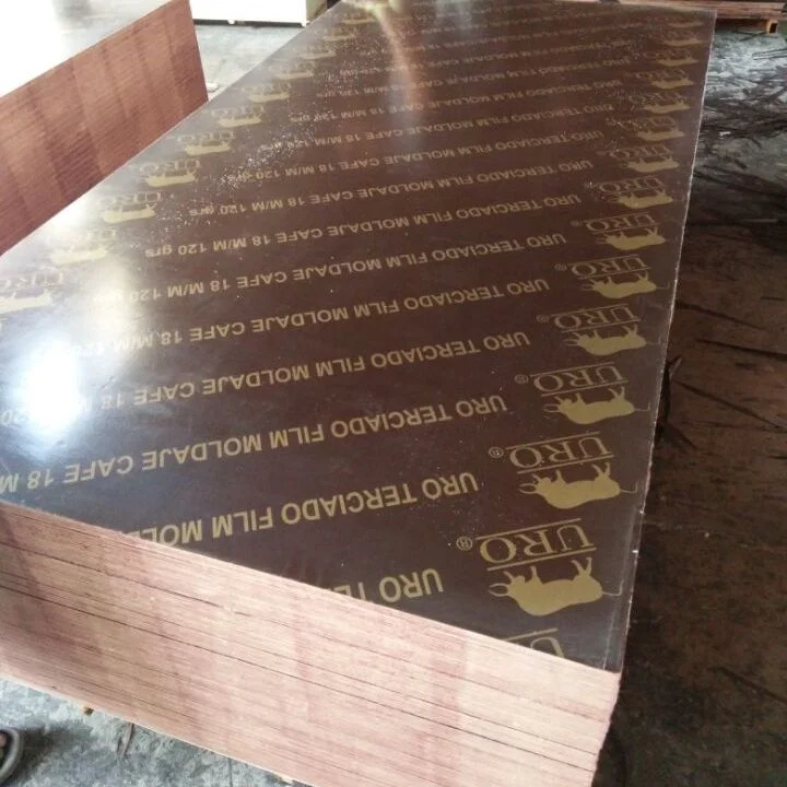 Manufacturer 4x8 3/4 Concrete Forms Plywood for Sale