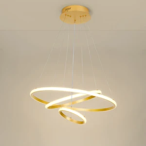 Contemporary Minimalist Hanging Decorative Ceiling Pendant Lights Nordic Modern Design Circle Ring Led Chandeliers