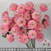 Branche de fleur de koi rose foncé