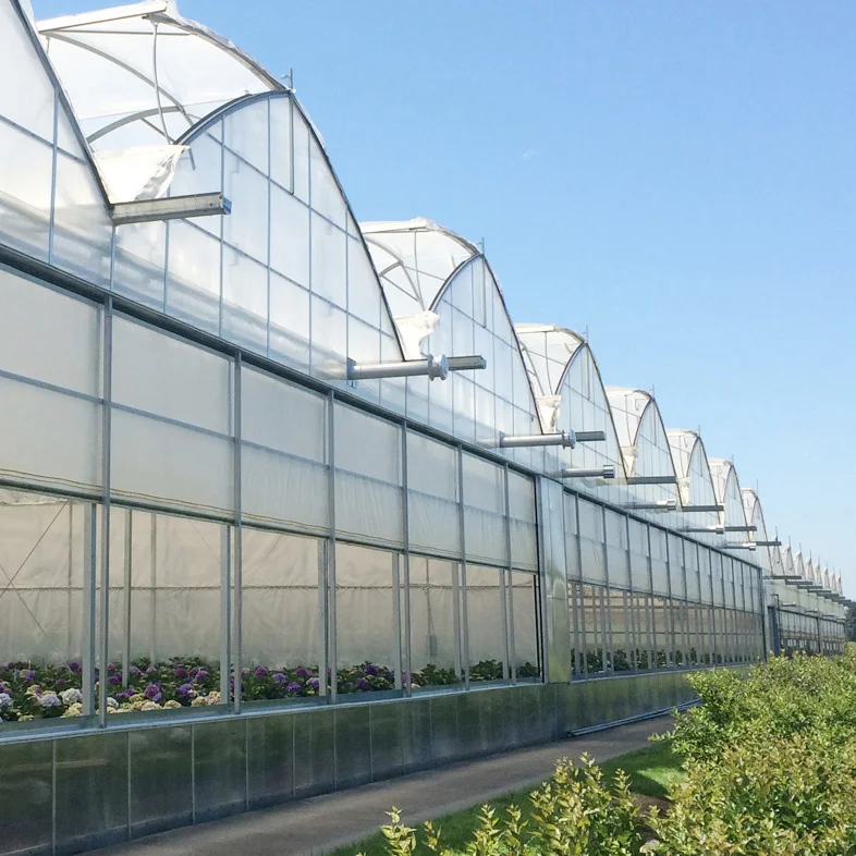 Outdoor Winter Greenhouse