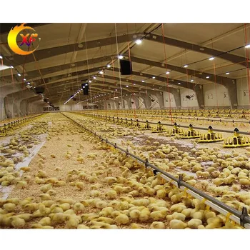 Manufacturer Direct Sale Automatic Complete Poultry House Feeding Equipment Broiler Feed Line System