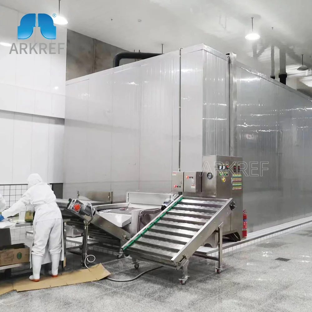 Energy-saving Tunnel Quick Freezer/Iqf Freezer Small Freezer Fish Freezing Equipment for Cooling Fish