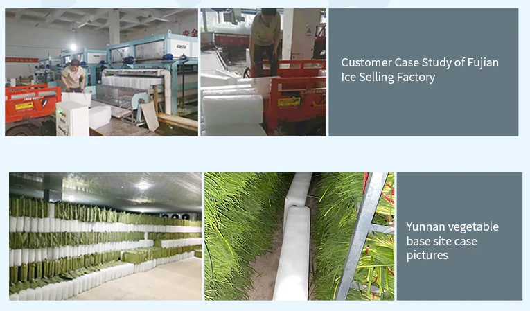 Ice Machine, ICESTA, 2t - detail 28