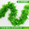 66-leaf encrypted grape (2 pieces)