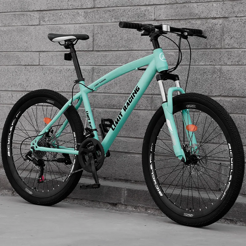 26 Inch Steel Full Suspension Mountain Bike 21 Speed Customized