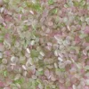 Green powder