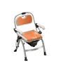 Multi-functional model orange with toilet bowl