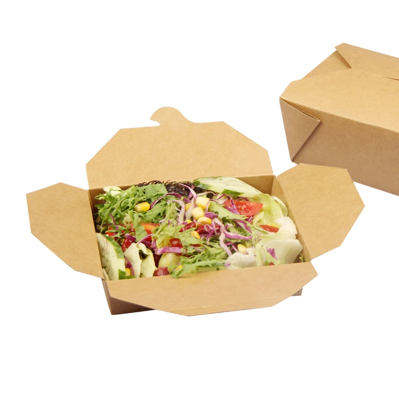 Disposable Takeaway Bio Box