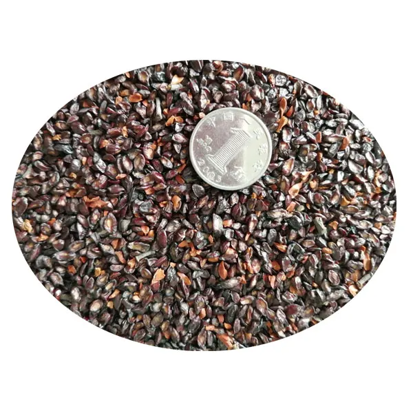 2021优质柠檬桉树种子种植