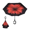 red chrysanthemum