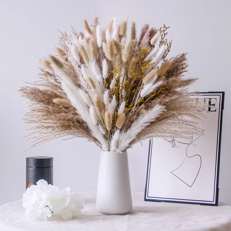 High Quality Rabbit Bunny Tails Grass Reed Flower Arrangement Lovegrass ...