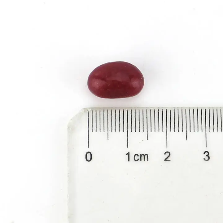 jelly beans