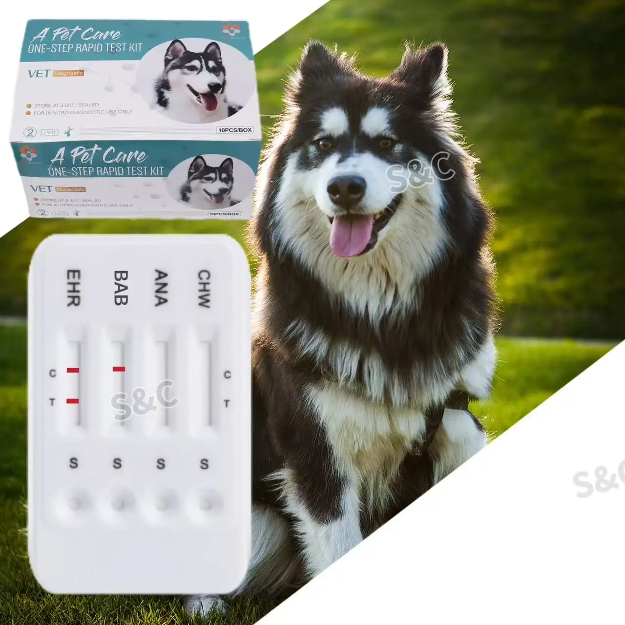 AccuDoctor Test Rapido Per Cane – Giardia E Parvovirus In Un Unico Kit – 2 Test Completi