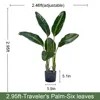 2.95 pies/90 cm
