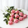 Pink(Snow Mountain Rose)