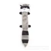 Long-haired raccoon