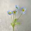 Bleu clair