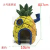 Grande casa di ananas