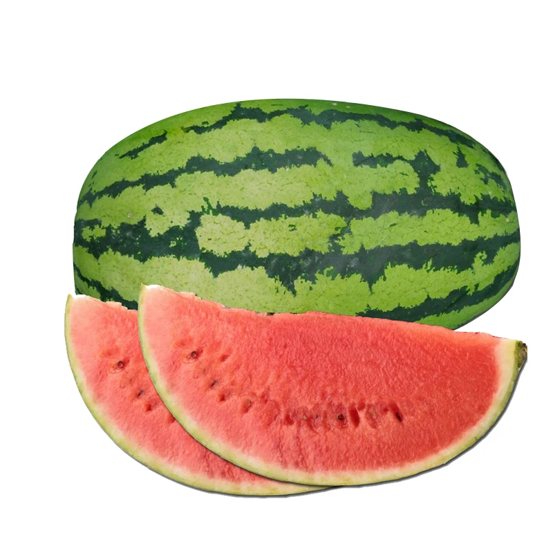 F1 hybrid watermelon seeds green peel and red pulp and easy to grow