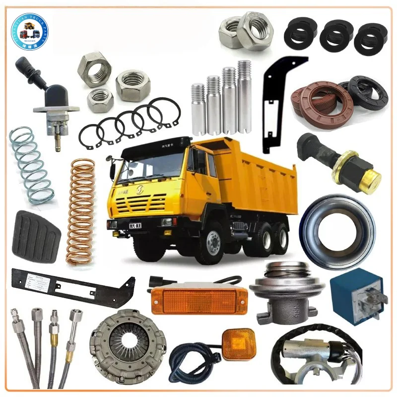 Accelerator Pedal Assembly DZ97189570281 for Shacman Trucks