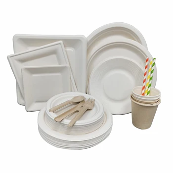 Biodegradable disposable bagasse paper dishes plate set for wedding party and restaurant