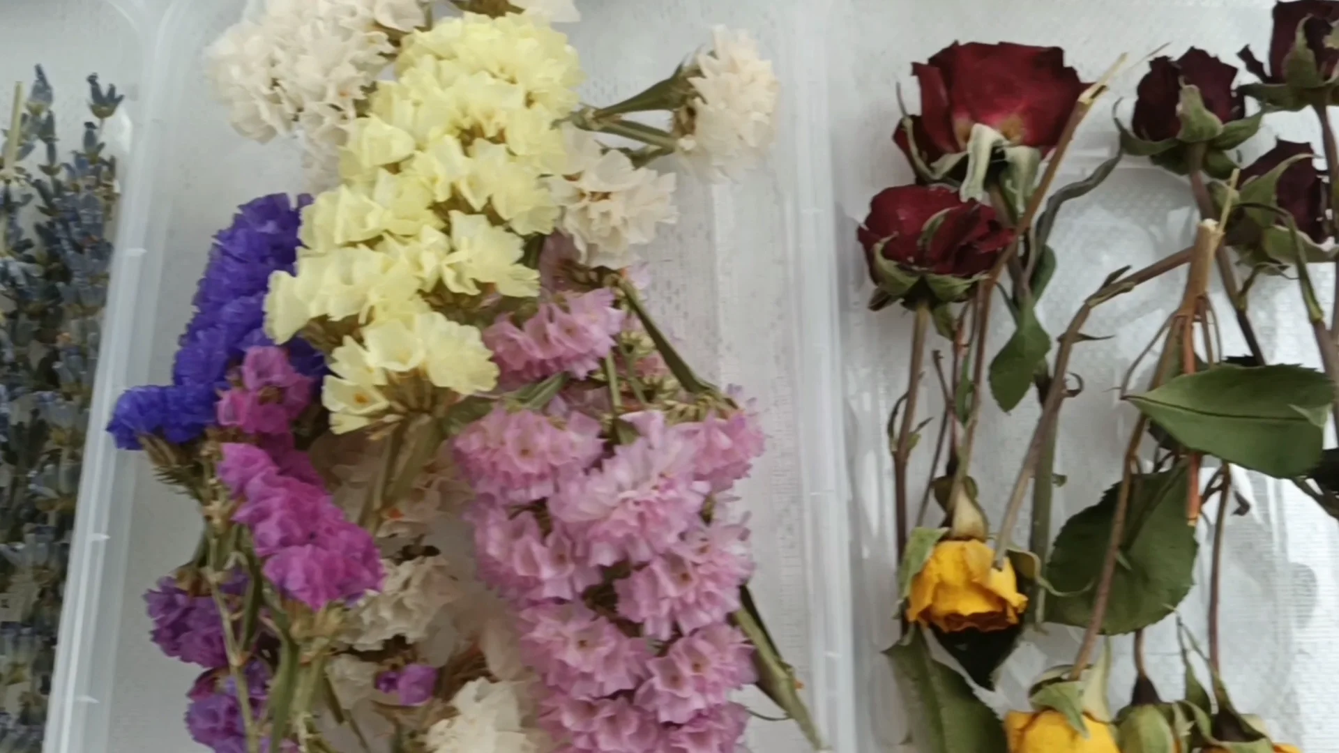 Wholesale Forever Roses Preserved Real Dried Natural Herbs And Flowers