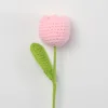 Light pink-Plump Tulip Stem (Small)