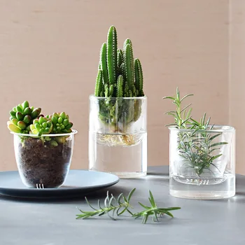 56H Transparent Water Storage Glass Vase Plant Vessel Desk Arrangement Decoration