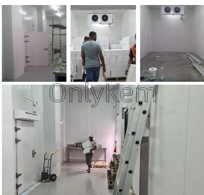 Easy-to-Operate Cold Storage Warehouse Flower Cold Room Refrigerated Grow Room Coolers