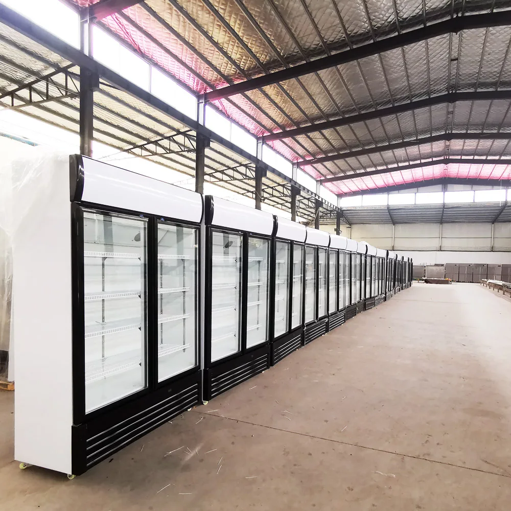 Upright Frozen Freezer Display Deep Freezer - 450L Capacity