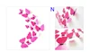 N rose