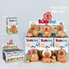 Capybara daily-caja ciega + caja expositora
