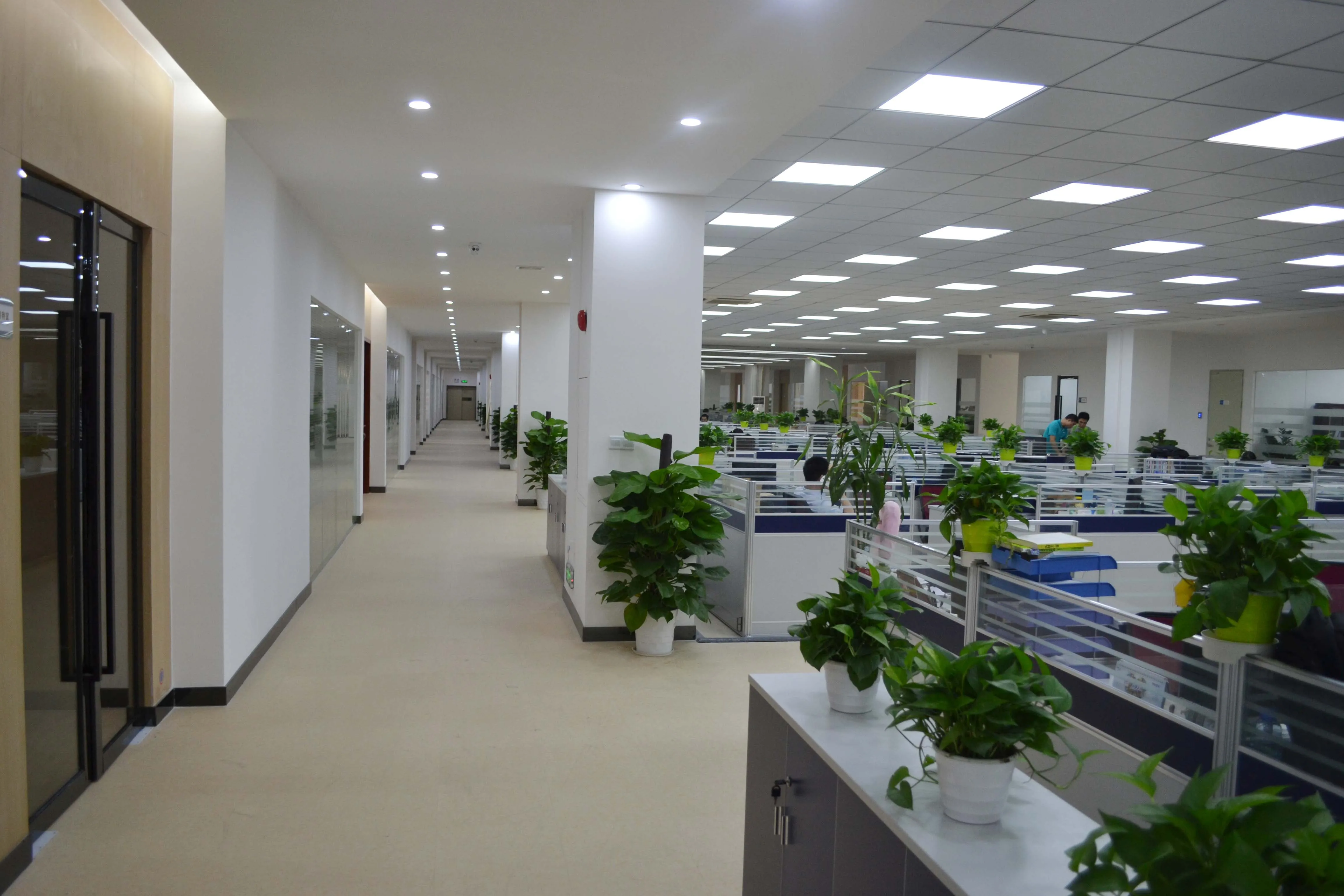 Changzhou 0091 Commodity Co., Ltd. 1