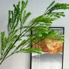 Melaleuca verde