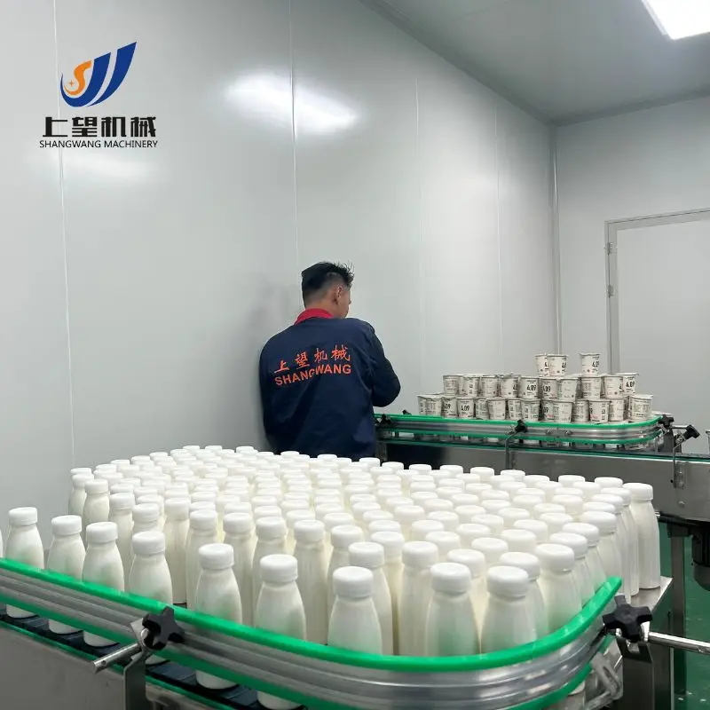 Yogurt Plant Fully Automatic Yogurt Fermentation Pasteurization Maker Machine Complete Small Dairy Greek Yogurt Production Line