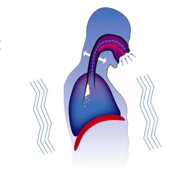 Chest Therapy Vest Style Airway Clearing System Suitable For Infants 