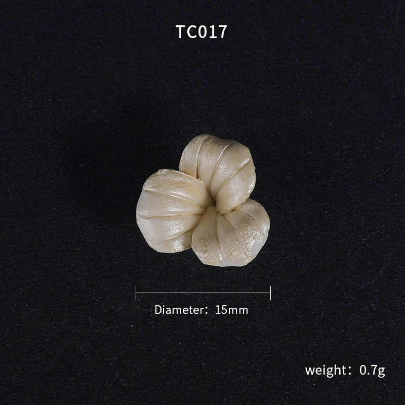 TC017.JPG