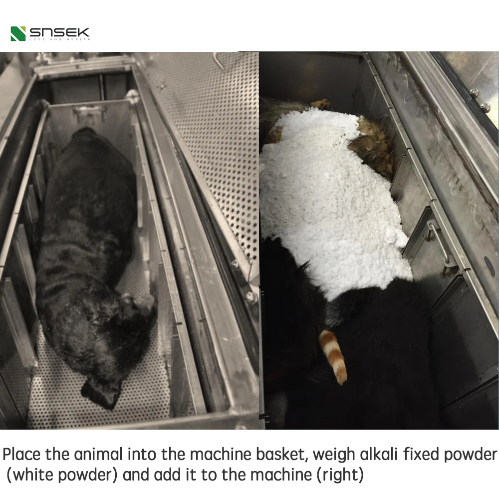 Snsek-SA1000v Aquamation Machine for Animals Bio-Hydrolysis Machine for Pets Water Cremation Machines