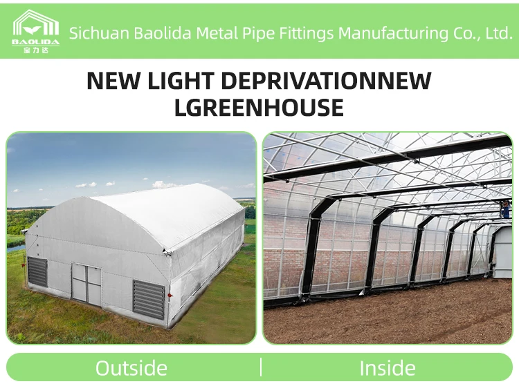 Automated Single Span Tunnel Medical Growing Greenhouse Light