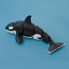 Baleine tueuse noire et blanche