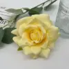 สีเหลือง
