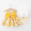 Chrysanthemum yellow