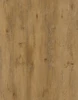 MO88113-5