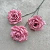 Pasta de frijol rosa-diamante sin hojas