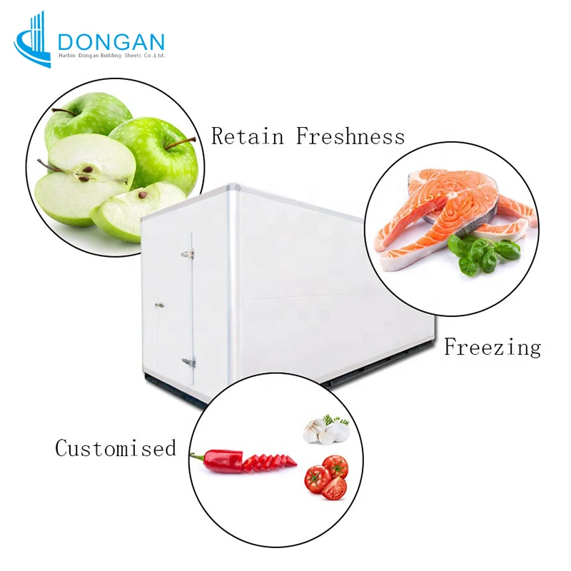 Competitive Factory Price Cold Room Solar Powered Refrigerated Containers Cold Room for Fish Price Chiller Room