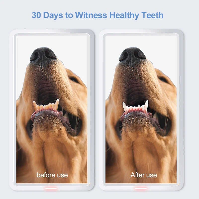 Pet tooth cleaning wet towel double tooth cleaning finger cover cat oral cavity dog tooth cleaning fresh breath products