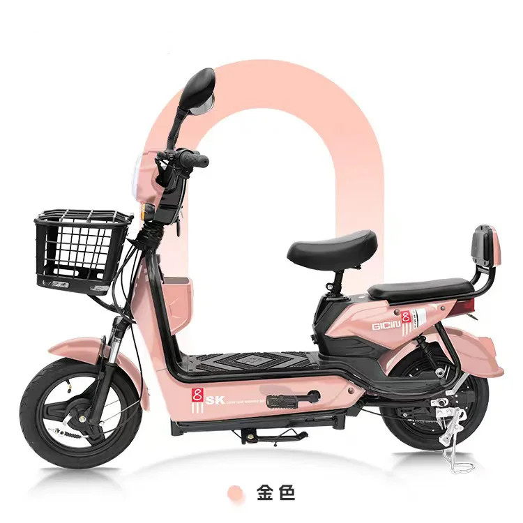 48V 350W Electric Bike with Durable Steel Tires Fast Delivery